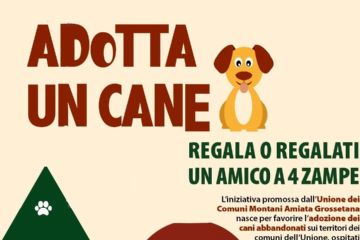 Iniziativa “Adotta un cane – Regala o regalati un amico a 4 zampe”