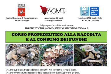 Brochure del Corso