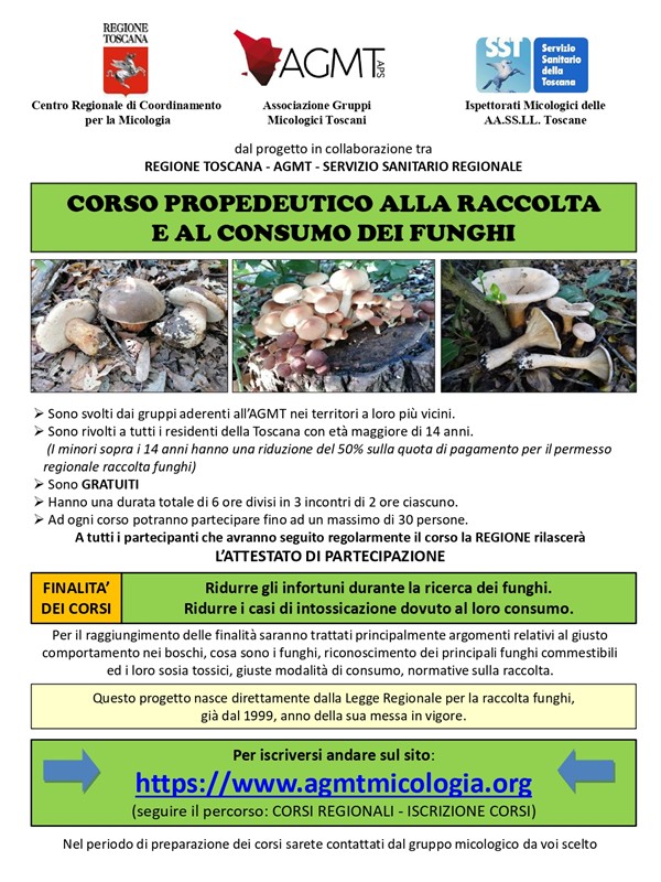 Brochure del Corso
